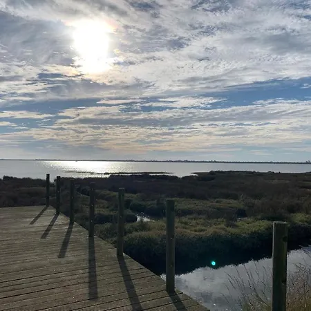 度假居 O Cantinho Da Ria - Jacuzzi With Water At 35 Degrees And Pool *