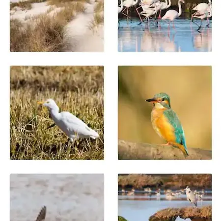 O Cantinho Da Ria - Jacuzzi With Water At 35 Degrees And Pool