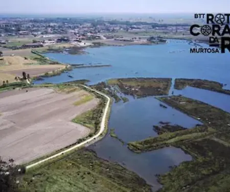O Cantinho Da Ria - Jacuzzi With Water At 35 Degrees And Pool * 托雷拉