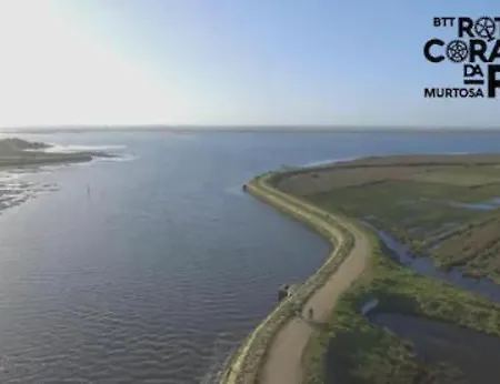 O Cantinho Da Ria - Jacuzzi With Water At 35 Degrees And Pool 度假居 *