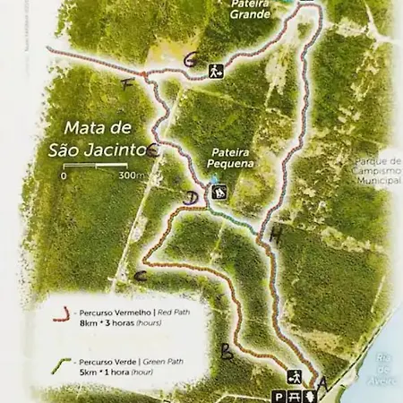 O Cantinho Da Ria - Jacuzzi With Water At 35 Degrees And Pool * 托雷拉