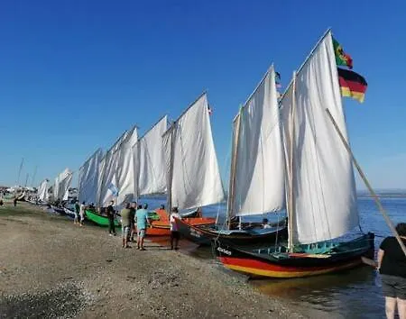 度假居 O Cantinho Da Ria - Jacuzzi With Water At 35 Degrees And Pool *