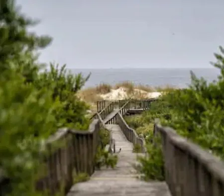 Dom wakacyjny O Cantinho Da Ria - Jacuzzi With Water At 35 Degrees And Pool Torreira
