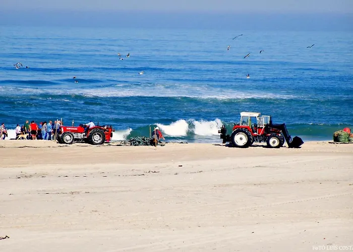 O Cantinho Da Ria - Jacuzzi With Water At 35 Degrees And Pool 度假居 *