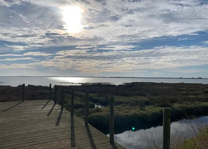 度假居 O Cantinho Da Ria - Jacuzzi With Water At 35 Degrees And Pool *