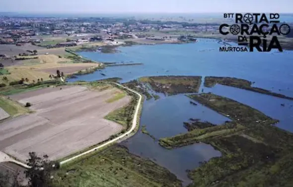O Cantinho Da Ria - Jacuzzi With Water At 35 Degrees And Pool * 托雷拉
