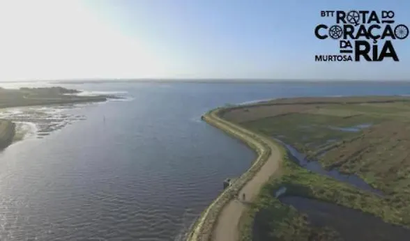 O Cantinho Da Ria - Jacuzzi With Water At 35 Degrees And Pool 度假居 *